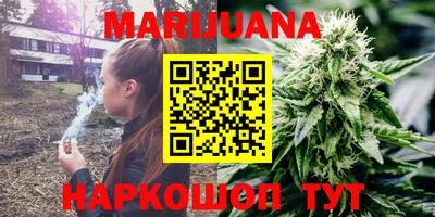 бошки Шелехов