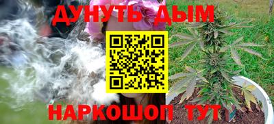 бошки Шелехов