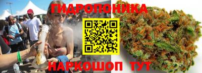 бошки Шелехов
