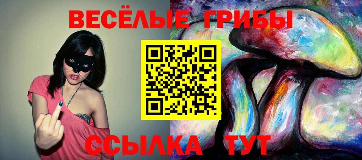 Бугуруслан  Псилоцибиновые грибы GOLDEN TEACHER  Галлюциногенные грибы GOLDEN TEACHER  Вход с VPN 